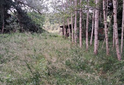 Działka na sprzedaż w miałach gmina wieleń
