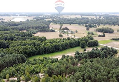 Grunty  zalesione  ostrownica, miechów gm. kazanów