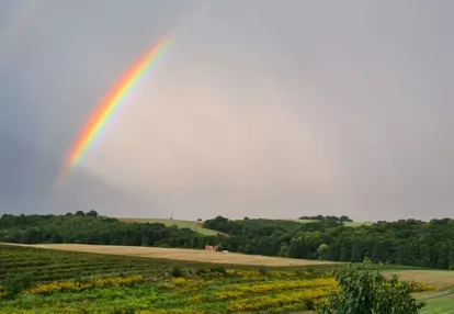 Działka na sprzedaż 3000m2