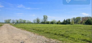 5 minut kampinos, 30 minut warszawa