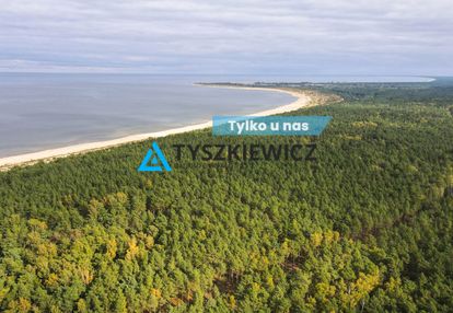 Wyspa sobieszewska-połączenie natury z wygodą!
