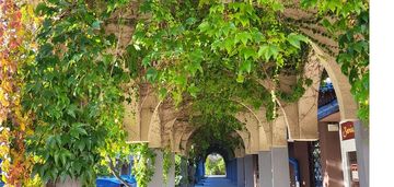 Mieszkanie z pięknymi widokami