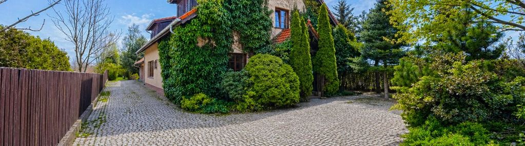 Prywatny las | sad owocowy | duża działka 0,5 ha