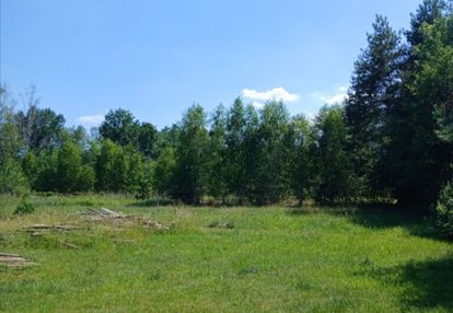 Działka budowlana - las, cisza, natura
