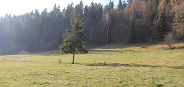 Działka budowlano - rolna w miejscowości grywałd