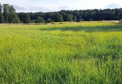 Działka budowlana w Gostyni przy ul. Rybnickiej