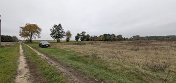 Pole uprawne, klasa bonitacji v i vi, las tuż obok