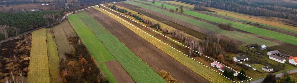 Działka przyłęk, szlachecki las 1,3 h, sprzedaż