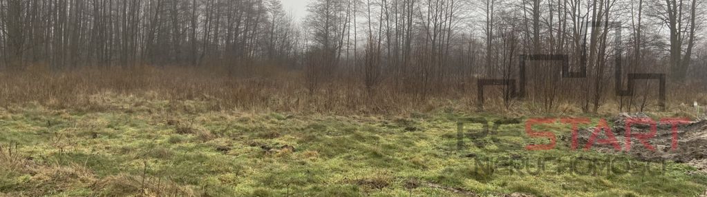 Działka w zboiskach gm. radziejowice