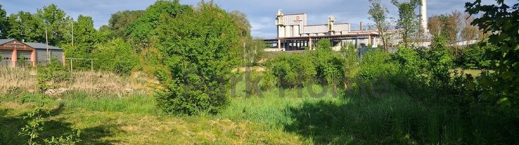 Duża działka budowlana w wymiarkach.