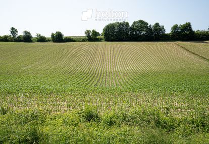 Dziaka -siedlisko| rola| droga powiatowa