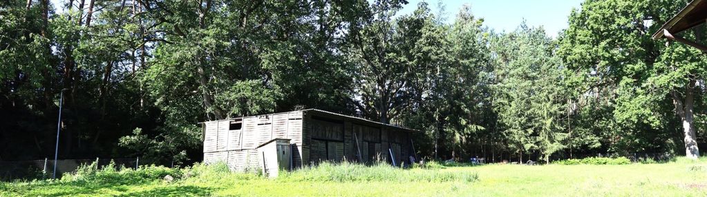 Działka budowlana  w otoczeniu lasu koło torunia