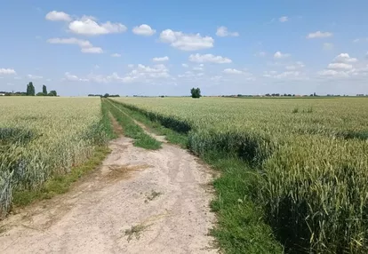 Działka na sprzedaż 192m2