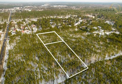 Wesola groszówka- inwestycja premium