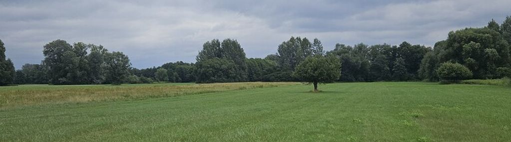 Działka budowlano-rolna wilków polski