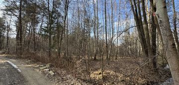 Las w  starych żukowicach