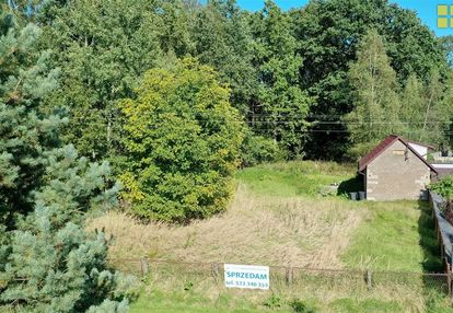 Brzeziny kolonia - działka budowlana