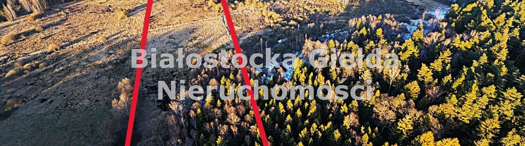 Działka rolno - leśna pow. 1,72ha