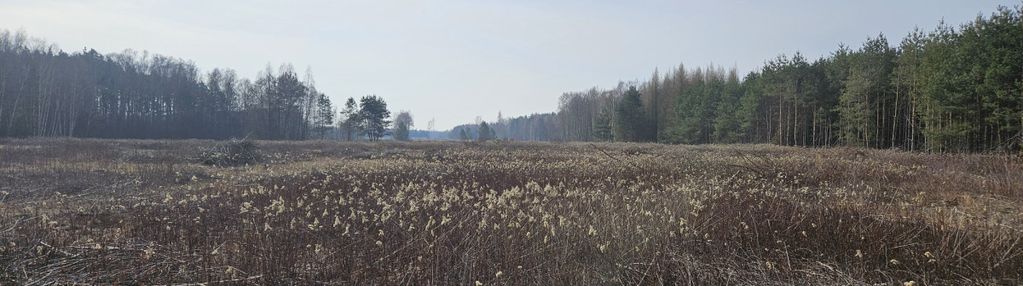 Teren 5 ha - pod stadninę, agroturystykę