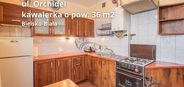 Mieszkanie 1 pokojowe, hałcnów