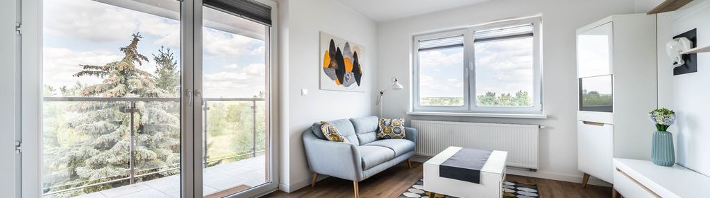 Urządzone mieszkanie balkon, winda naramowice