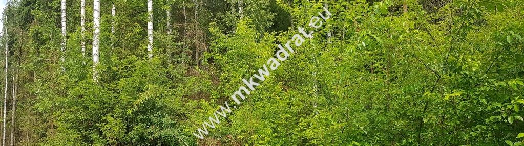 Działka 5000 m² piotrkowice