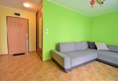 Kawalerka z ogródkiem  do wynajaęcia