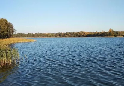 Działka nad jeziorem z własną linią brzegową