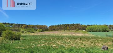 Działka 2500 m2 czernikowice przy lesie