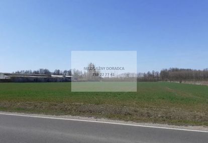 Inwestycyjna przy s7 pod firmę, magazyn