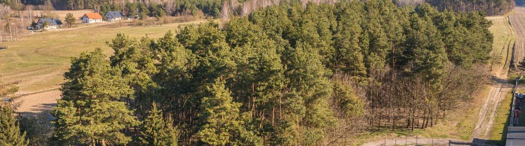 Twój własny kawałek natury nad jeziorem szeląg