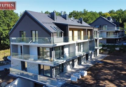 Cieplice zielone tarasy - zagajnik