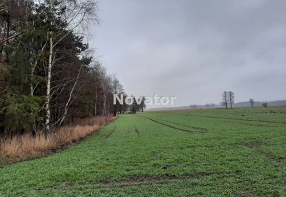 Działka rolna o pow. 7794m2 w łachowie gm. szubin