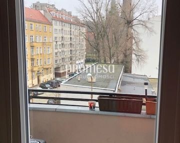 Mieszkanie z widokiem na park tołpy!