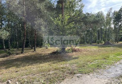 Zielona działka w urokliwym miejscu koło grodziska
