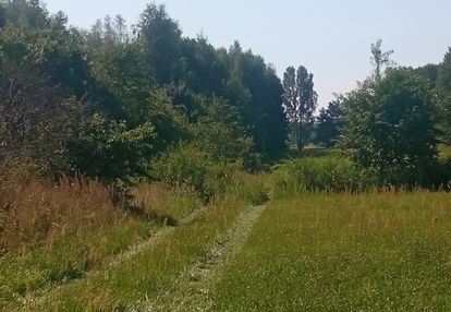 Działka rolna 3 km od aleksandrowa łódzkiego