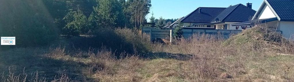 Nieruchomość nad zalewem z prywatnym lasem!