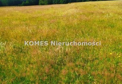 Dziełka rolna k. olsztyna  z dotacją rolną