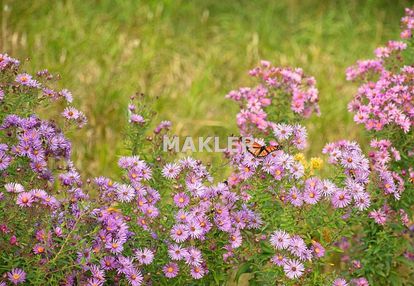 Działka idealna pod inwestycję- 4700 m2, rynarzewo