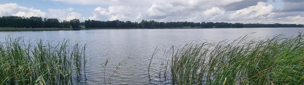 Działka z linią brzegową jeziora gaładuś
