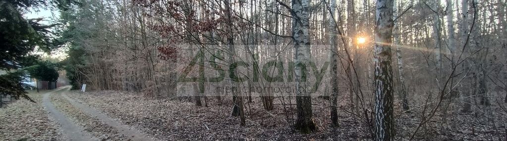 Piękna działka w ojrzanowie, dobra cena!