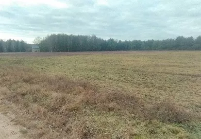 Działka na sprzedaż 256m2