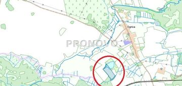 Działka rolna koło dobrzan