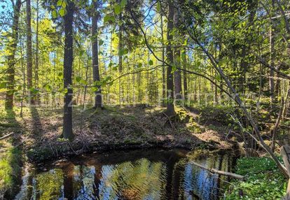 Piękne siedlisko - kwieciszowice