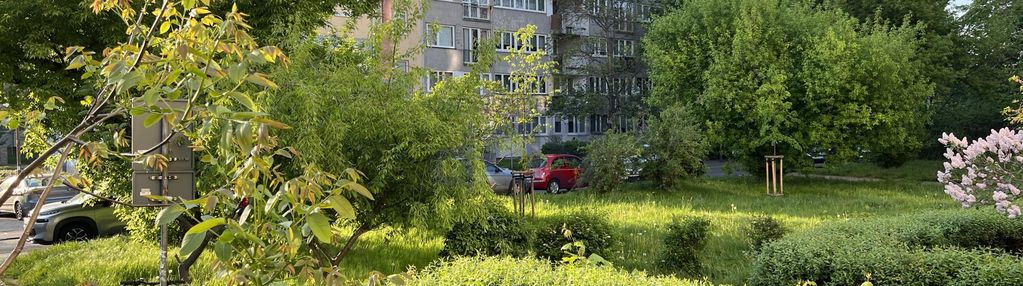 3-pokojowe mieszkanie w centrum wrocławia