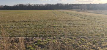 Działka 25x40 lipa gmina ryczywół pow.obornicki/wz