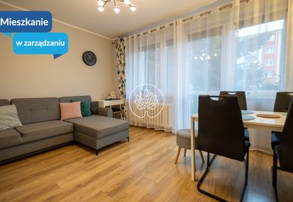 Dwupokojowe mieszkanie bydgoszcz wyżyny