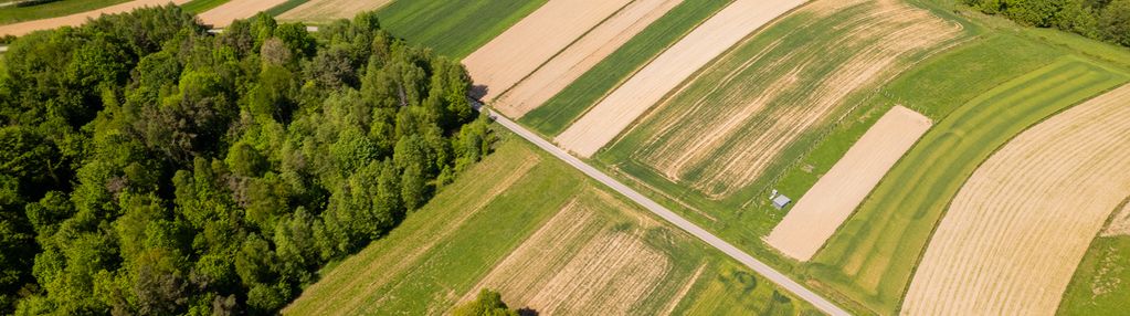 45ar przy lesie w wiśnicko-lipnickim p.kraj