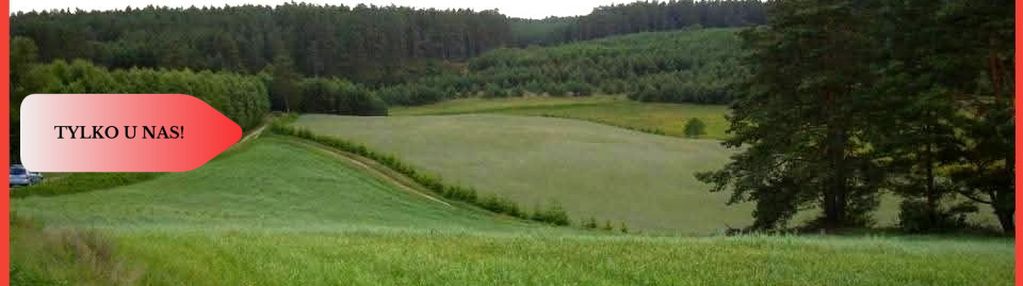 Tylko u nas! wyjątkowe działki z wz-tuszkowy