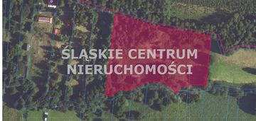 Duża działka siedliskowa z lasem sieraków jura